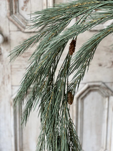 Pendulum Pine 57" Vine