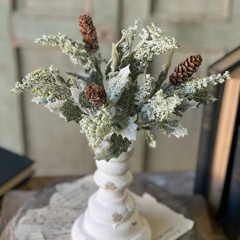 12" Iced Calgary Holly Bush