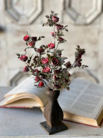 14" Frosted Tiny Tea Rose Bush