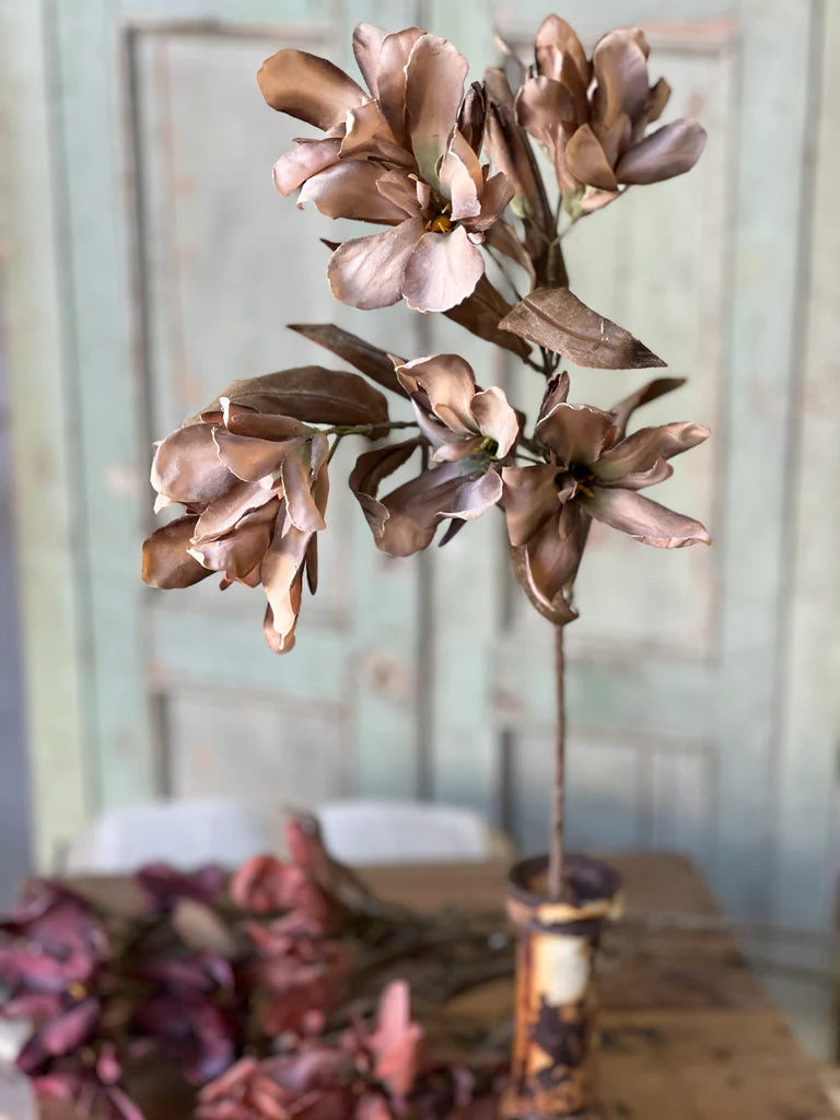 Canna Spray | 33" | Tawny