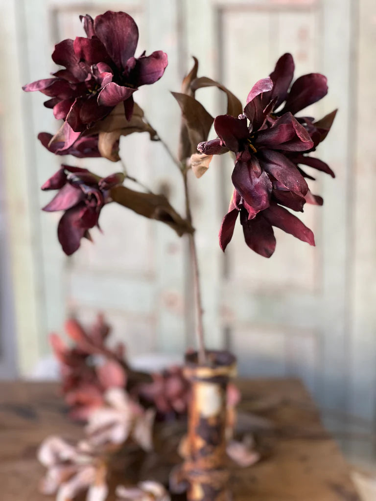 Canna Spray | 33" | Rust