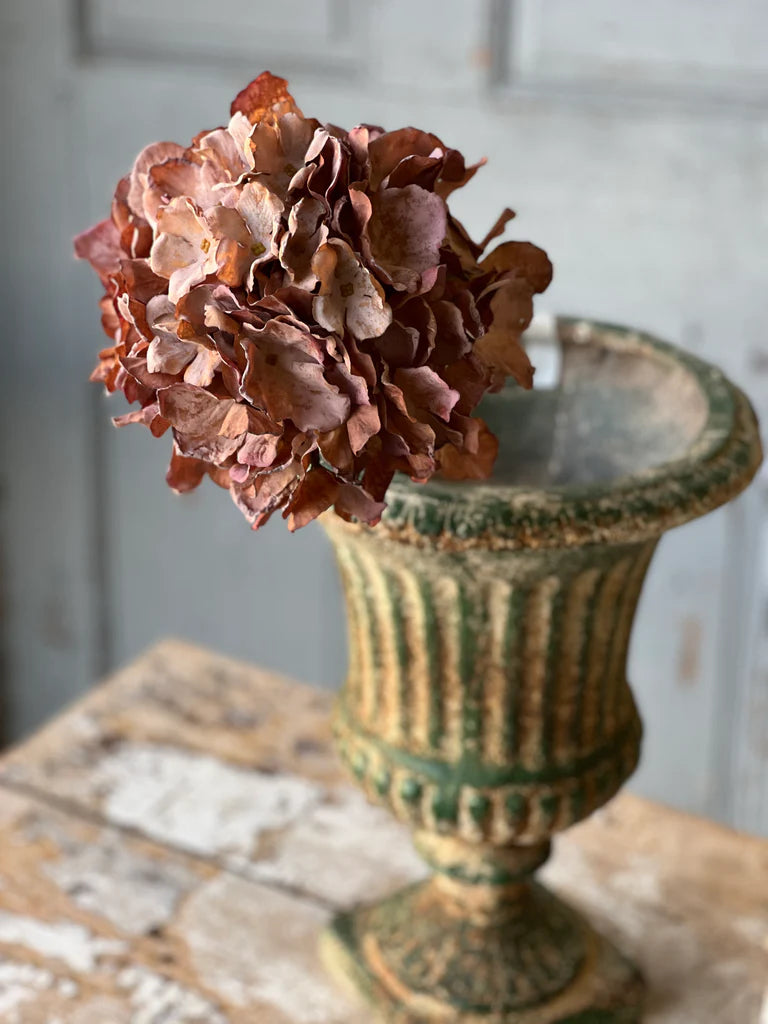 Empire Hydrangea | 25" | Flora