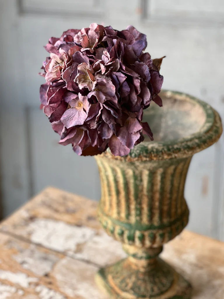 Empire Hydrangea | 25" | Lotus