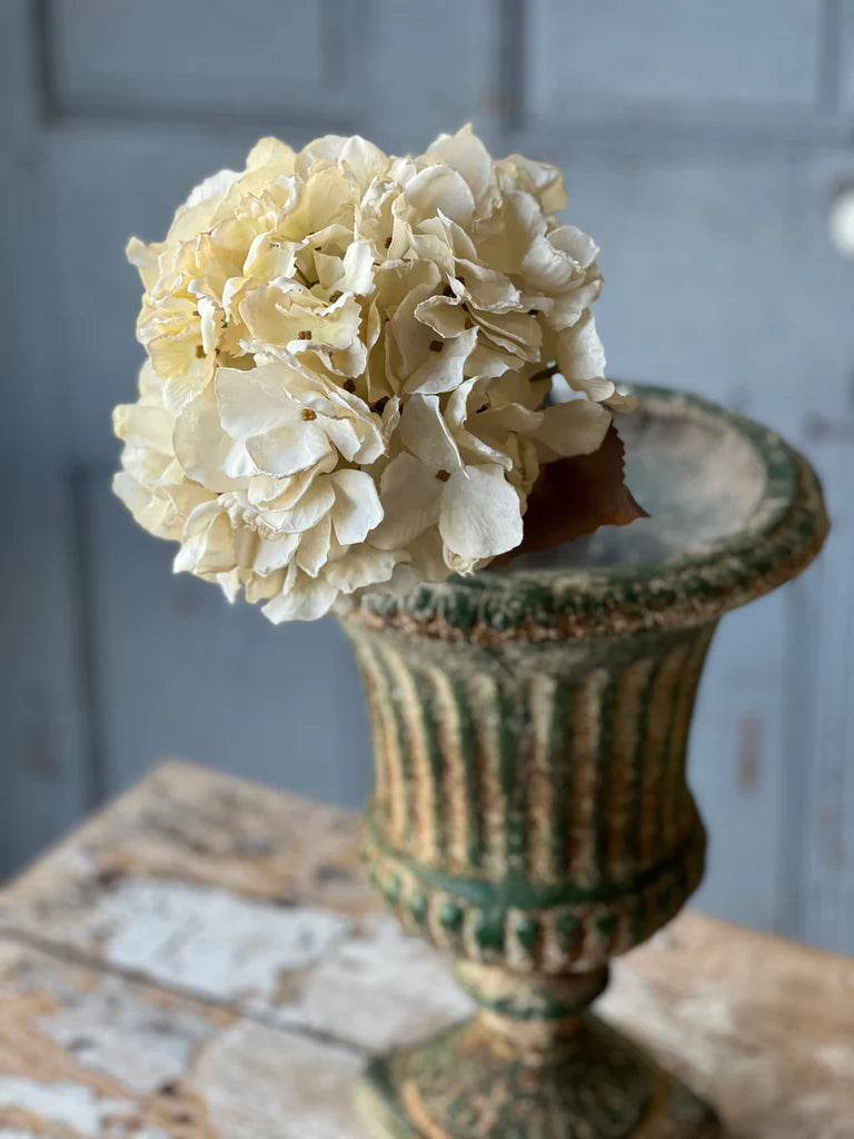 Empire Hydrangea | 25" | Dream