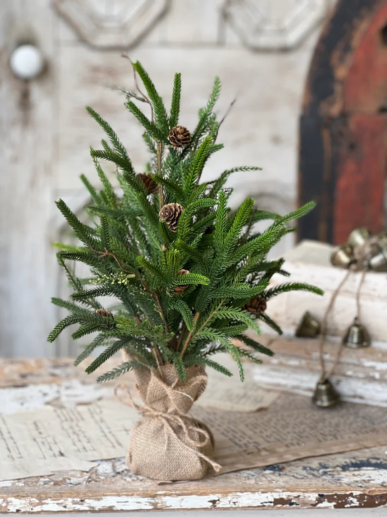 19" Pencil Pine Tree