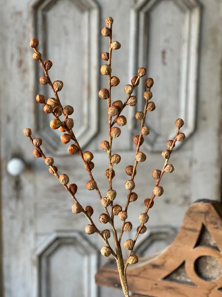 36" Shawl Buds | Maize