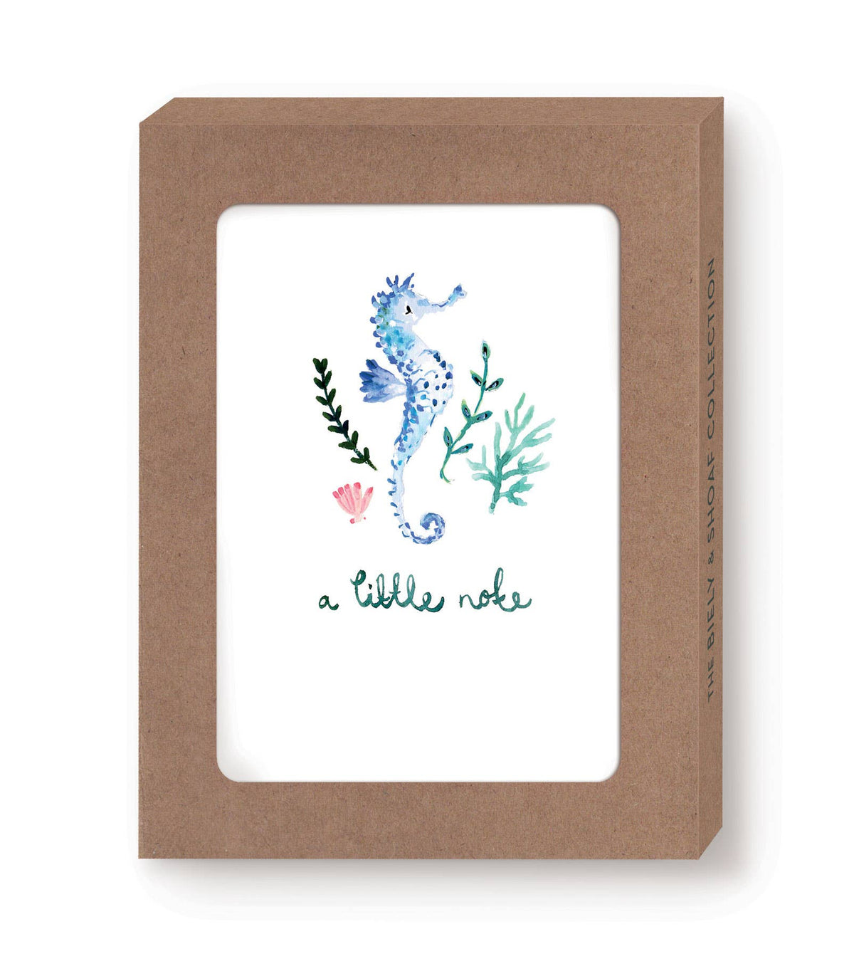Seahorse A Little Note Boxed Notecard - Set of 10
