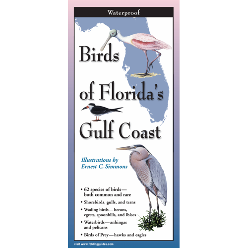Birds of Florida's Gulf Coast