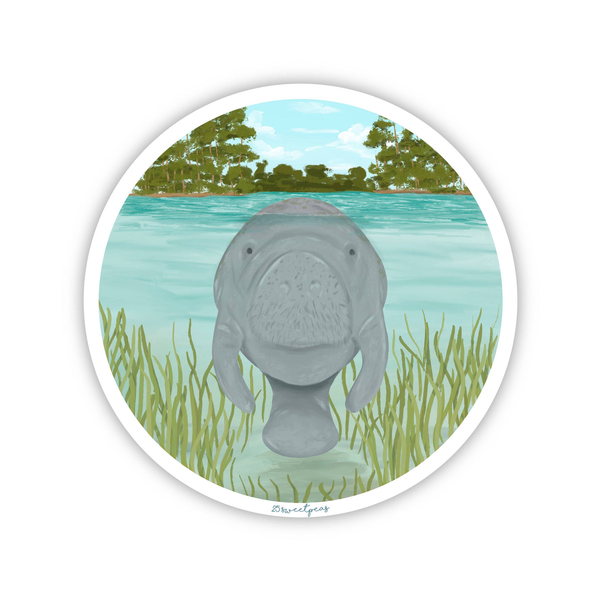 Manatee Sticker, Wildlife Sticker, Manatee in the Springs