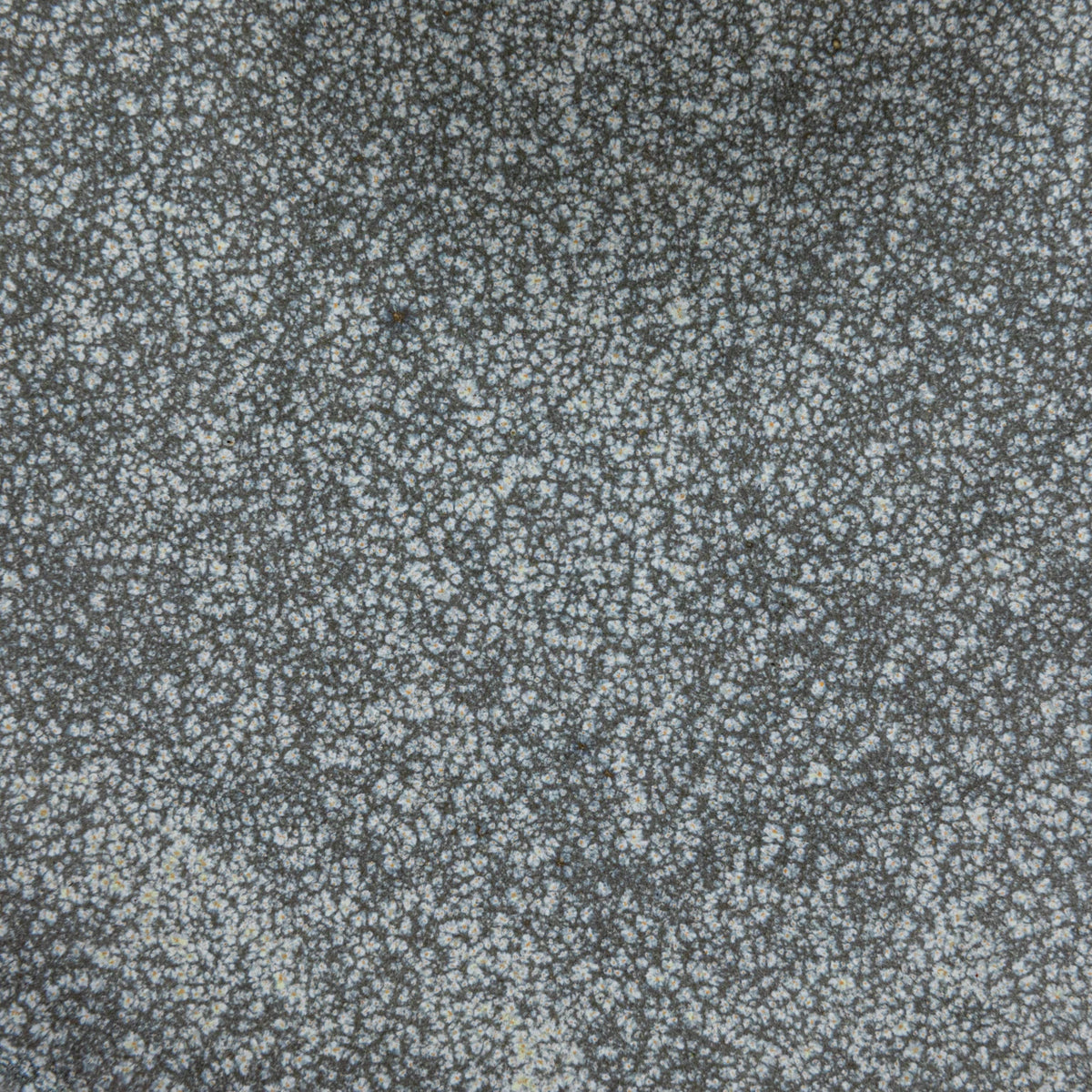 Matte Gray Speckled Stoneware Serving Plate & Dish