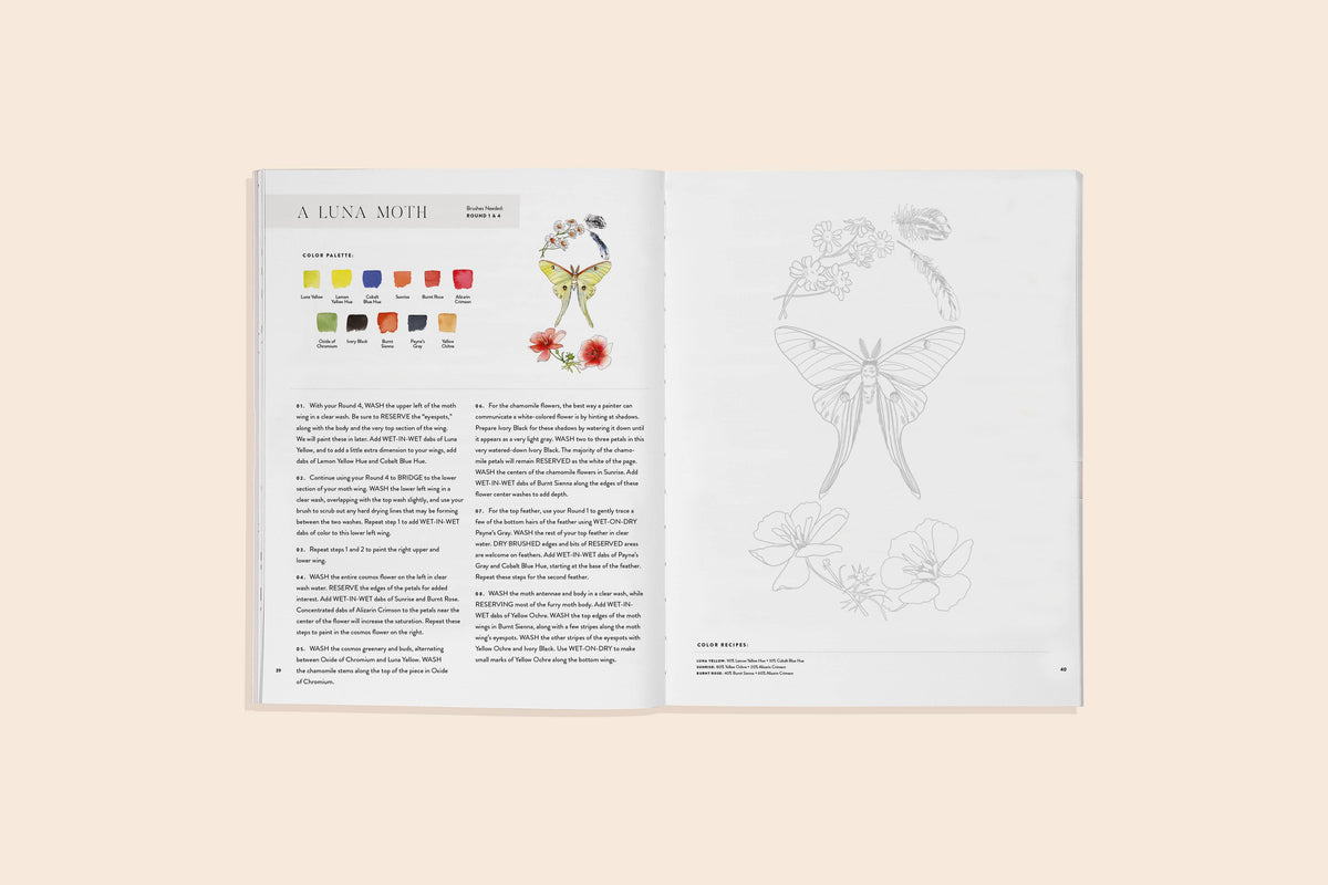 Watercolor Workbook 2: Flowers, Feathers, & Animal Friends