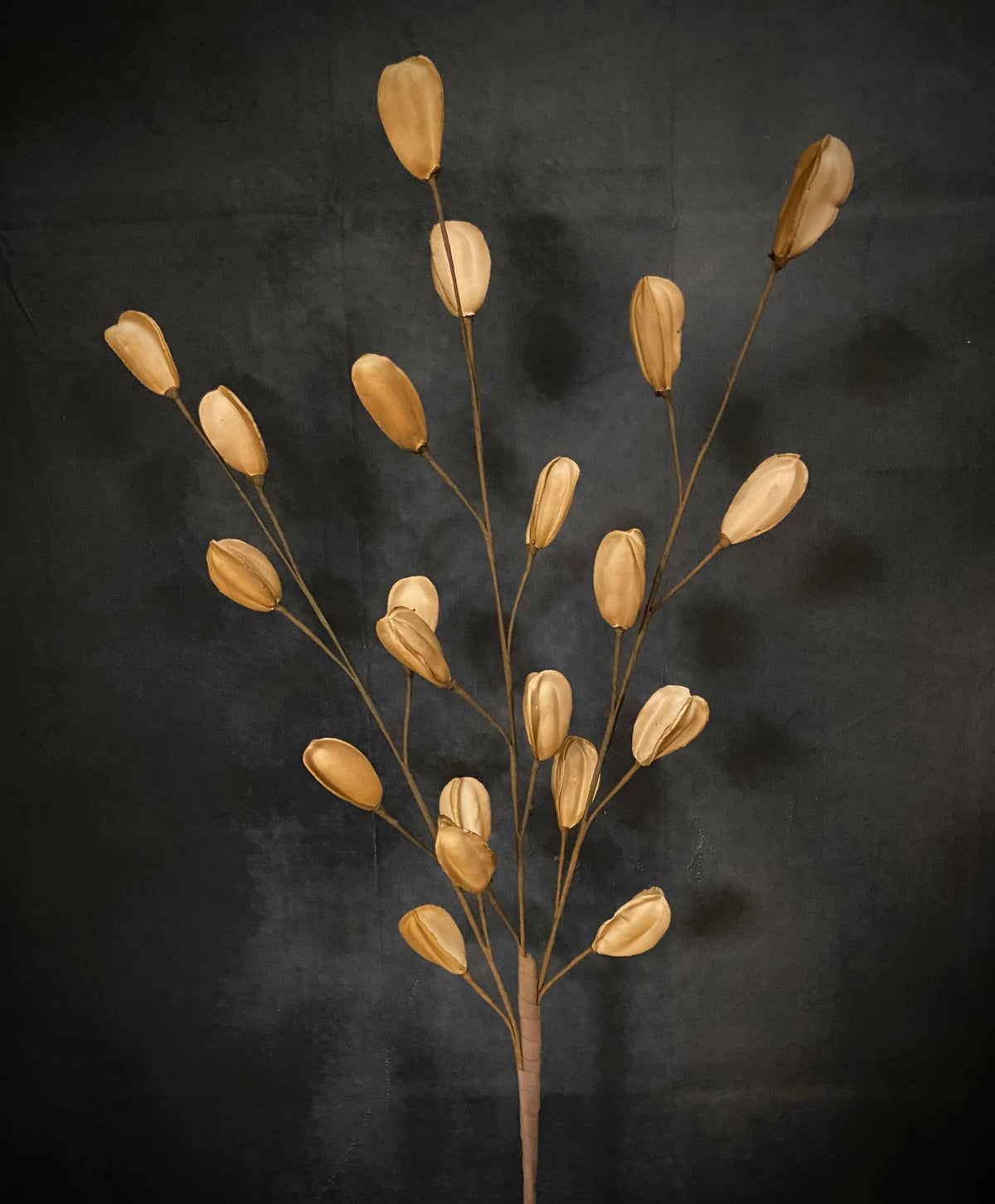 KHAKI PODS