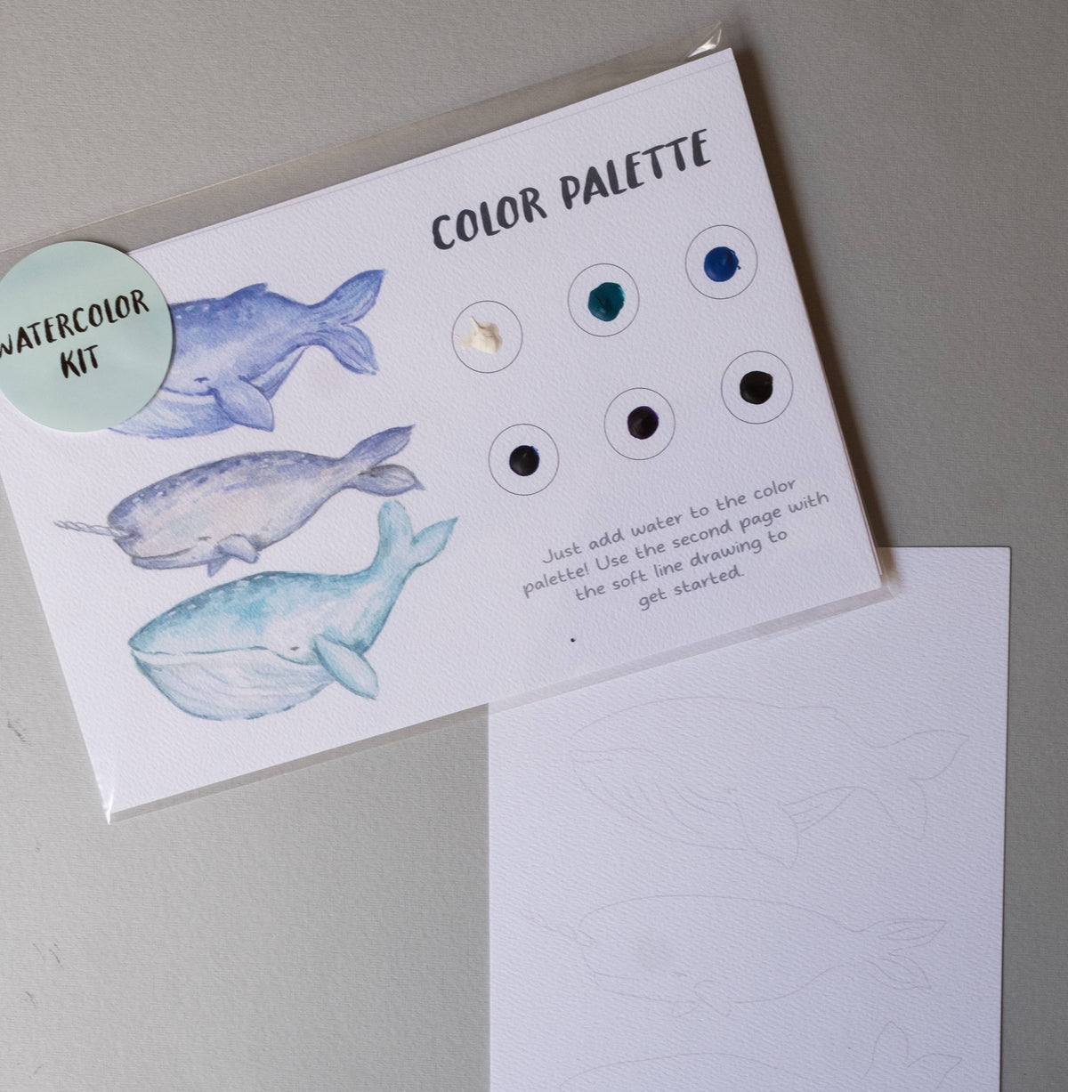 Whale Watercolor Painting Art Kit with Outline page