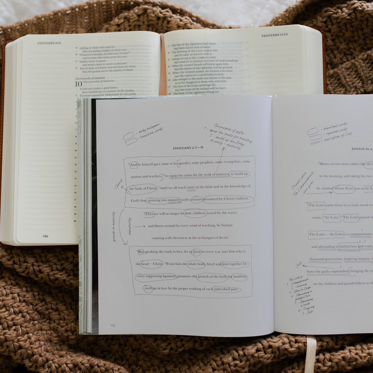 The Bible Study Handbook | Coffee Table Book