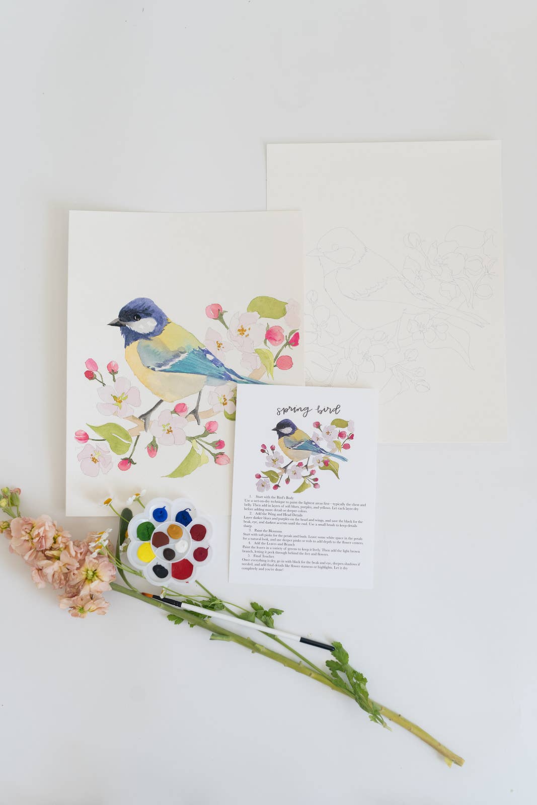 Spring bird - watercolor kit