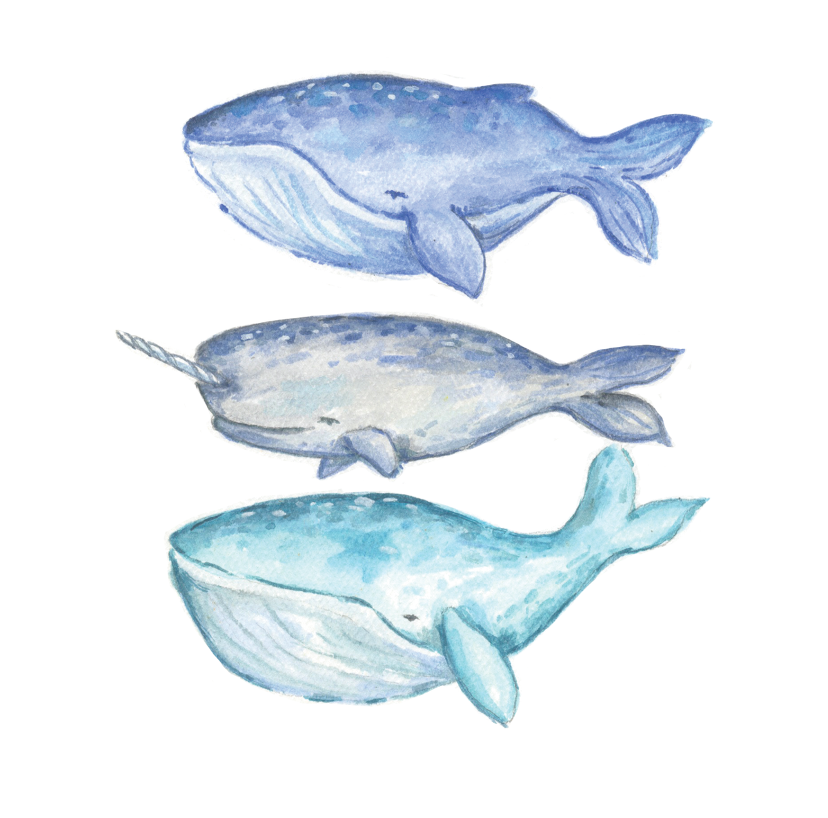 Whale Watercolor Painting Art Kit with Outline page