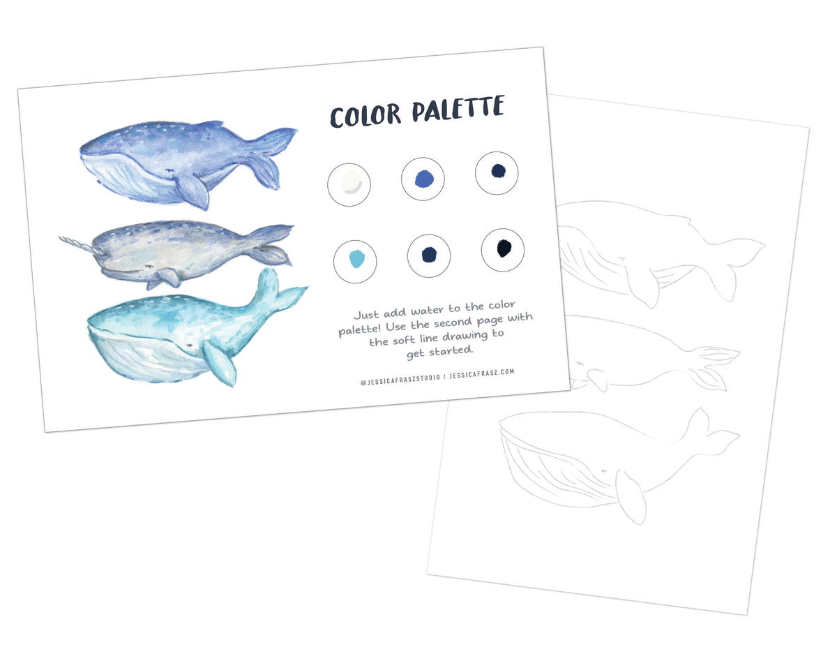 Whale Watercolor Painting Art Kit with Outline page