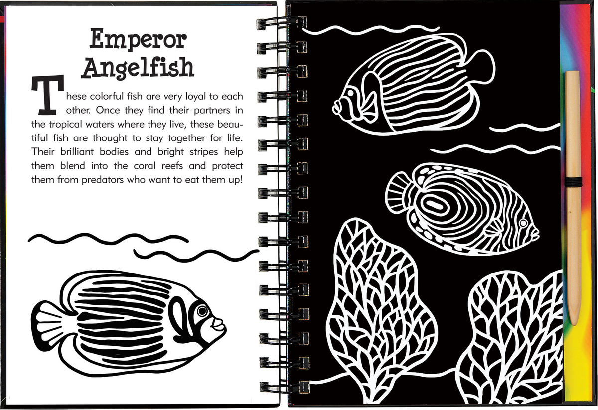 Under the Sea Scratch and Sketch