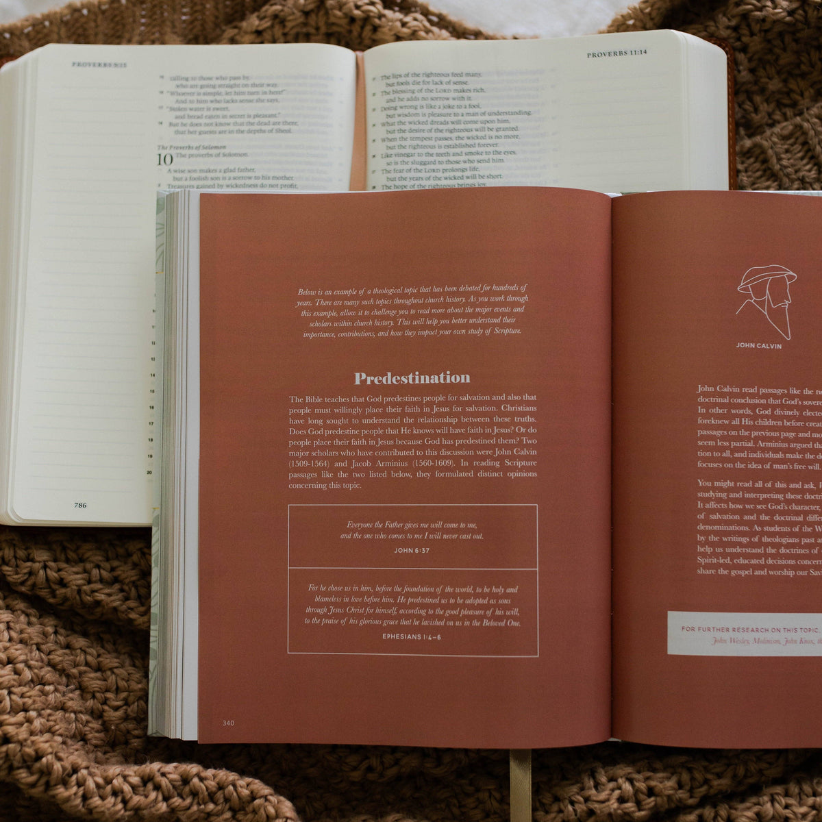 The Bible Study Handbook | Coffee Table Book