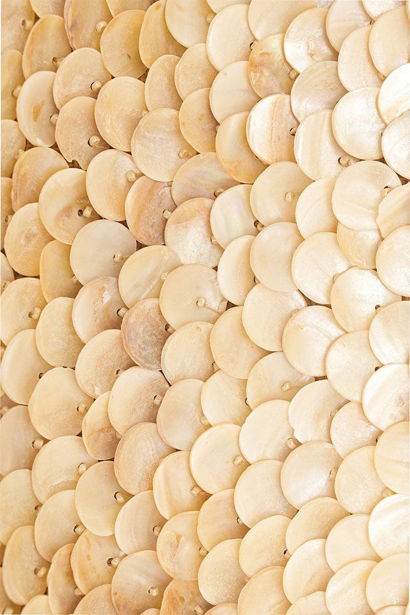 Rainbow Shell Beaded Tote