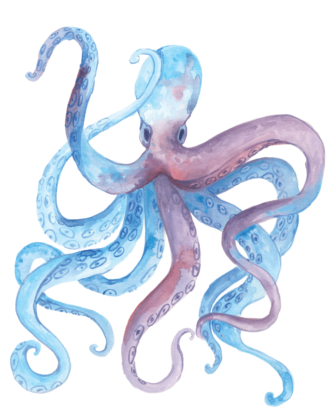 Octopus Birthday Greeting Card
