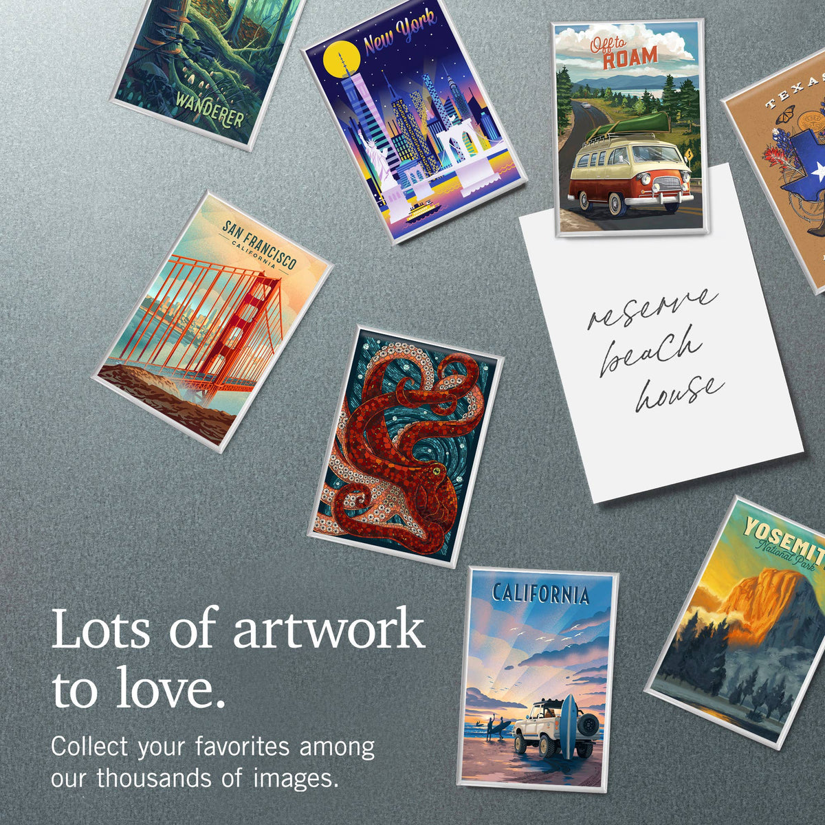 MAGNET Florida, Blue Herons in grass