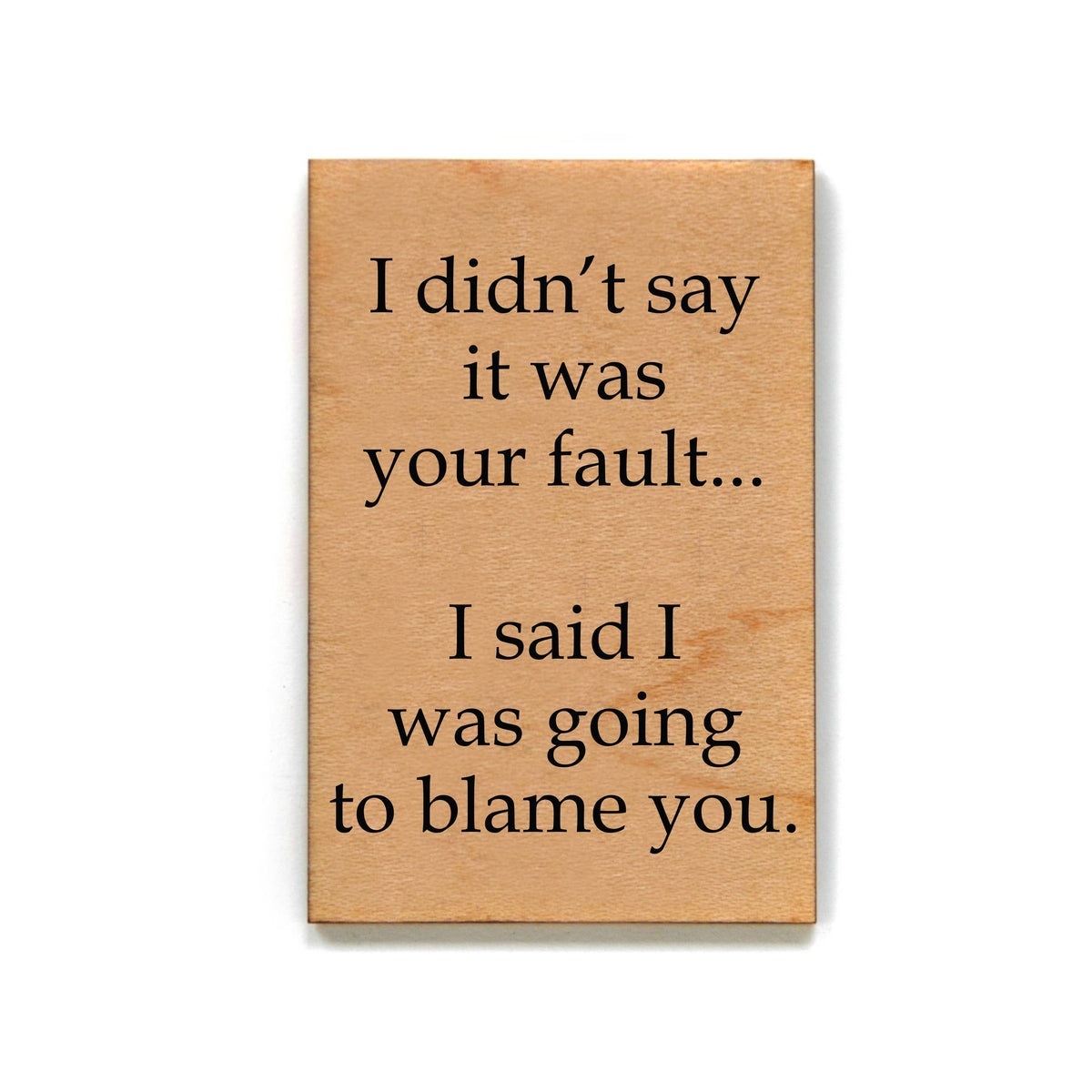 Magnet - I Didn't Say It Was Your Fault - XM041