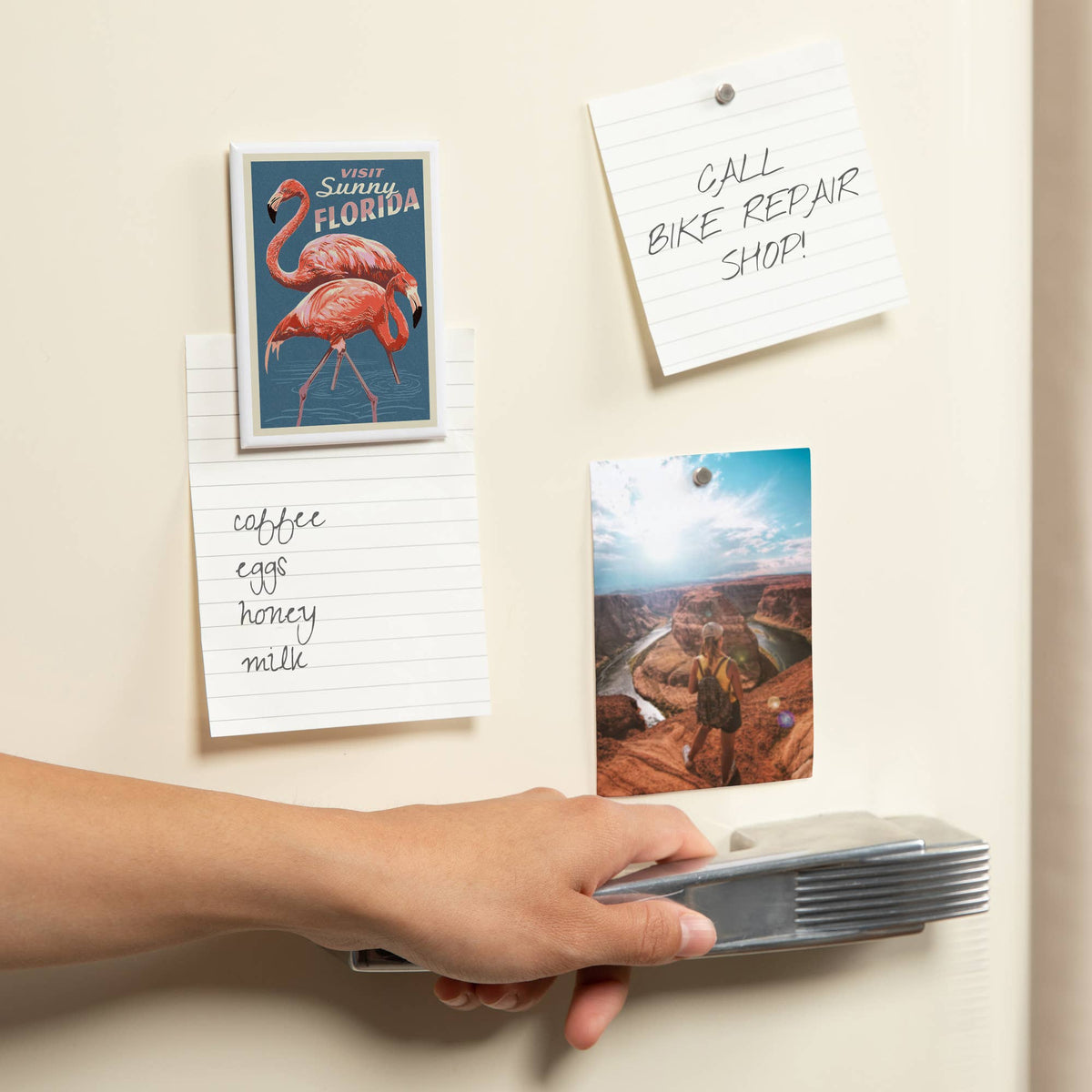 MAGNET Visit Sunny Florida, Flamingo