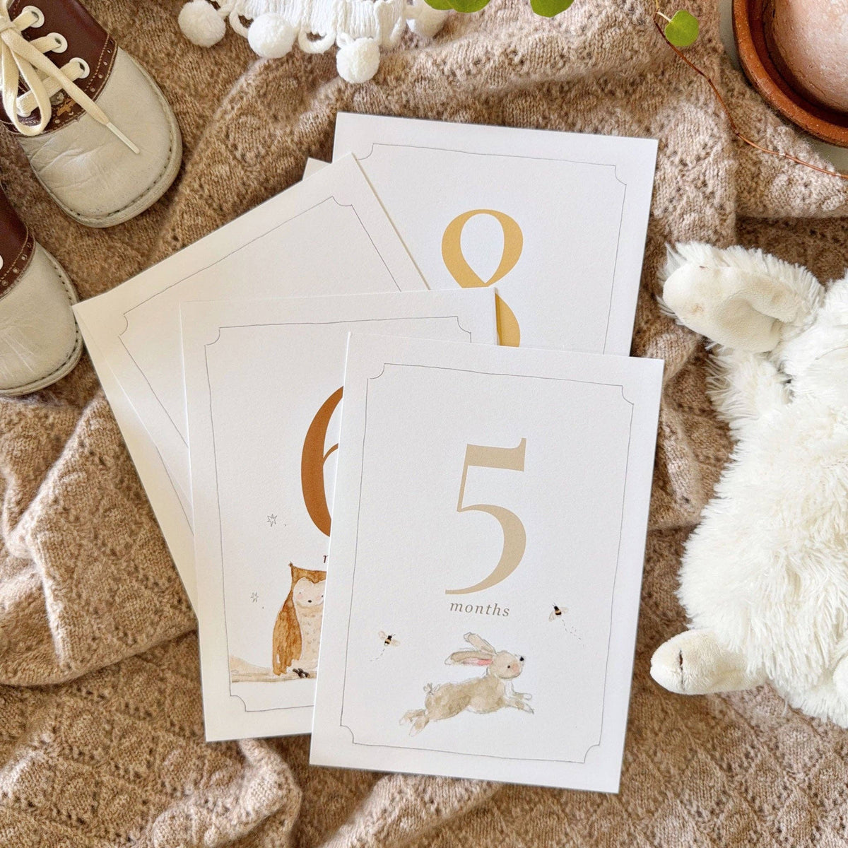 Baby milestone cards
