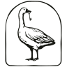 icon Logo