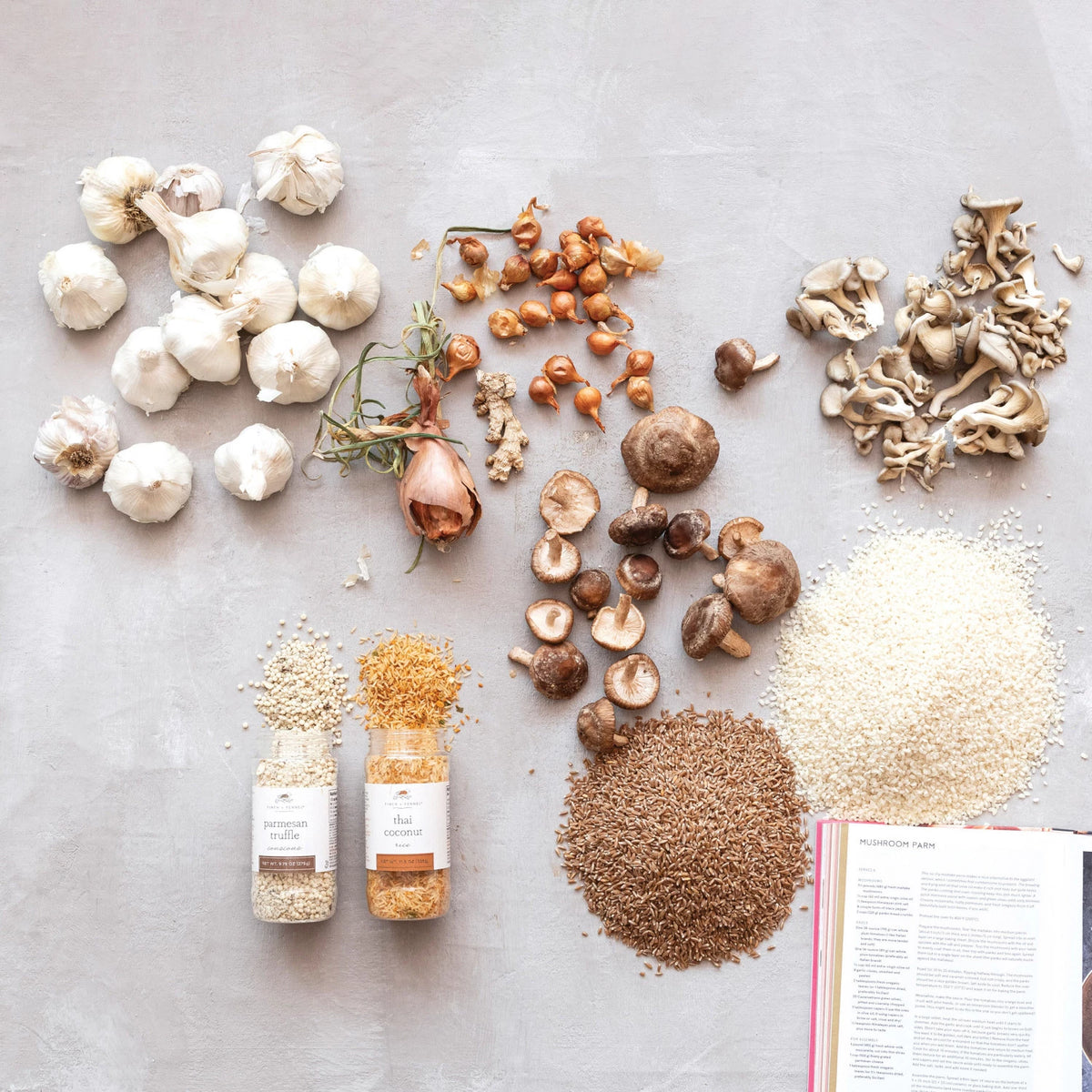 Finch + Fennel Parmesan Truffle Couscous