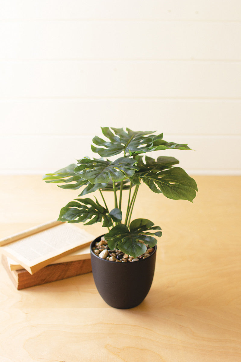 Artificial Monstera Plant in a Plastic Pot