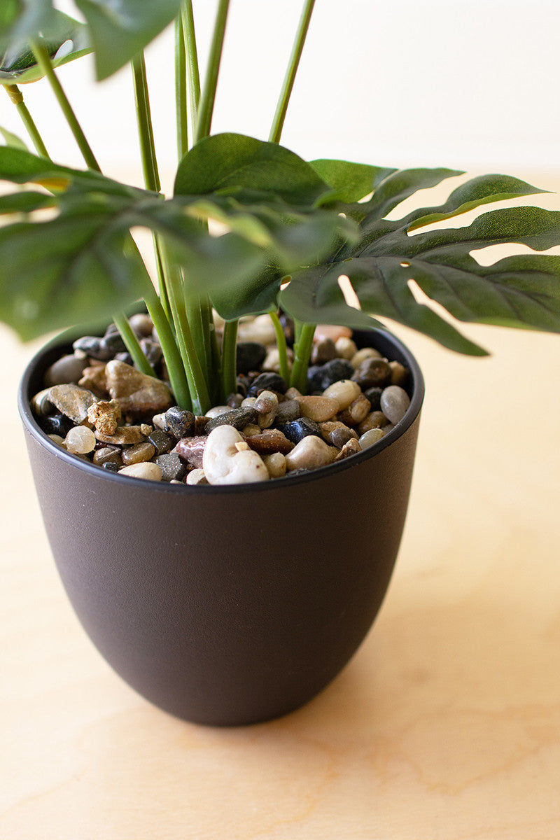 Artificial Monstera Plant in a Plastic Pot