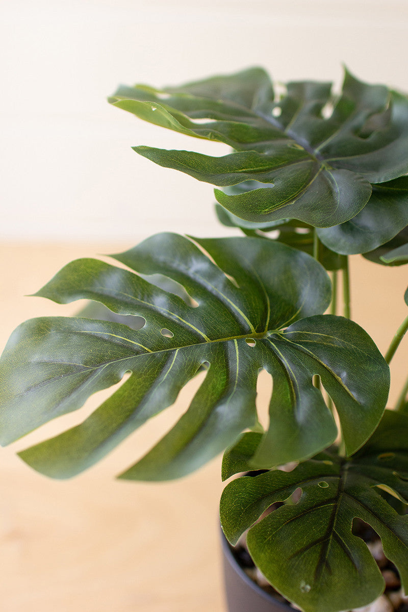 Artificial Monstera Plant in a Plastic Pot