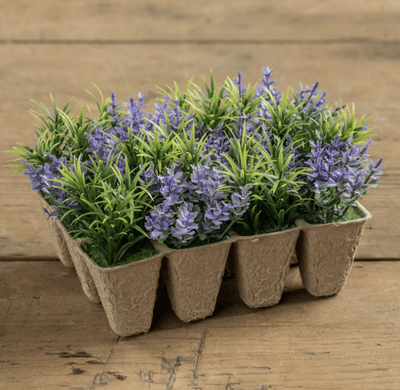 Peat Tray with Purple Flowers - One Amazing Find: Creative Home Market