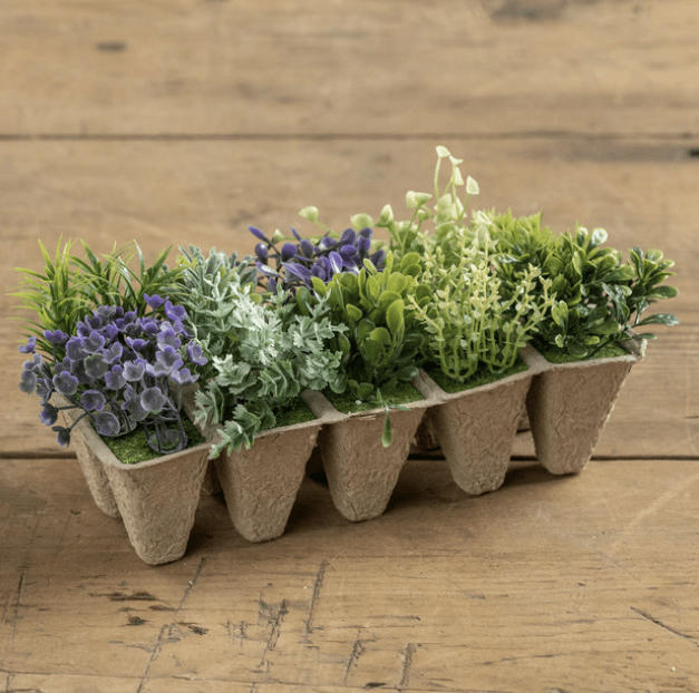 Peat Tray with Purple  & Green Flowers - One Amazing Find: Creative Home Market