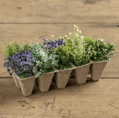 Peat Tray with Purple  & Green Flowers - One Amazing Find: Creative Home Market