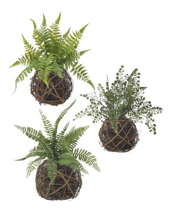 15" Fern in Twig Orb