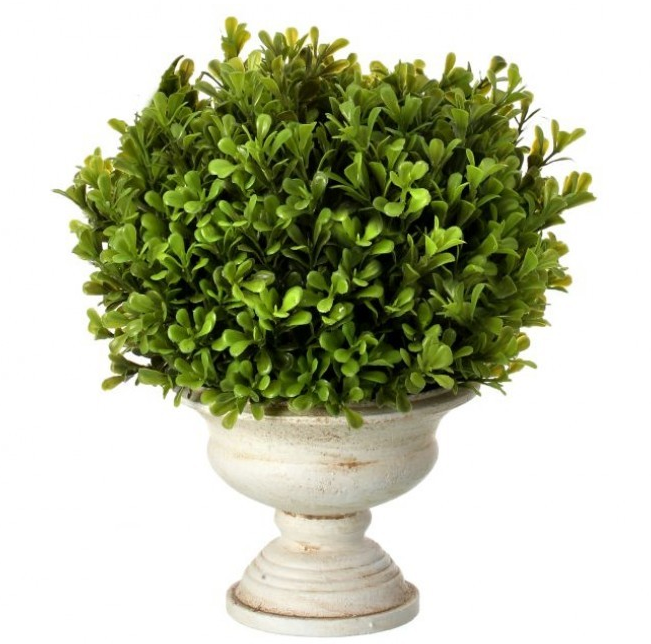 11" Spring Boxwood Ball in Urn