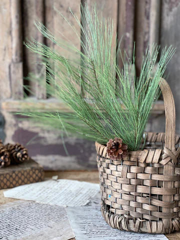 Giant Pine Spray 20"